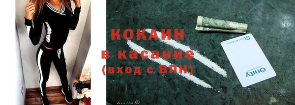 ГАЛЛЮЦИНОГЕННЫЕ ГРИБЫ Аркадак