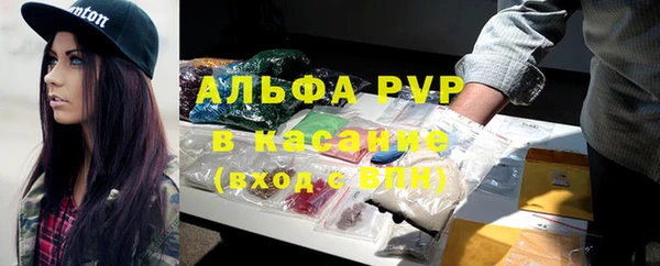 сатива Армянск