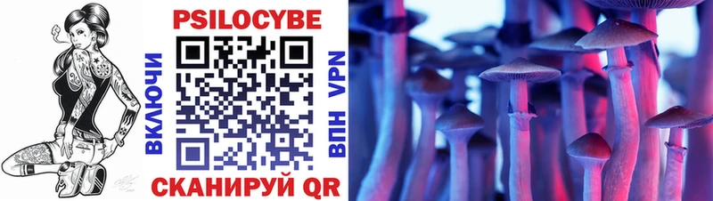 Галлюциногенные грибы Psilocybe  Купить  Курчалой 