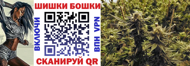 Купить где  Курчалой  Бошки марихуана OG Kush 
